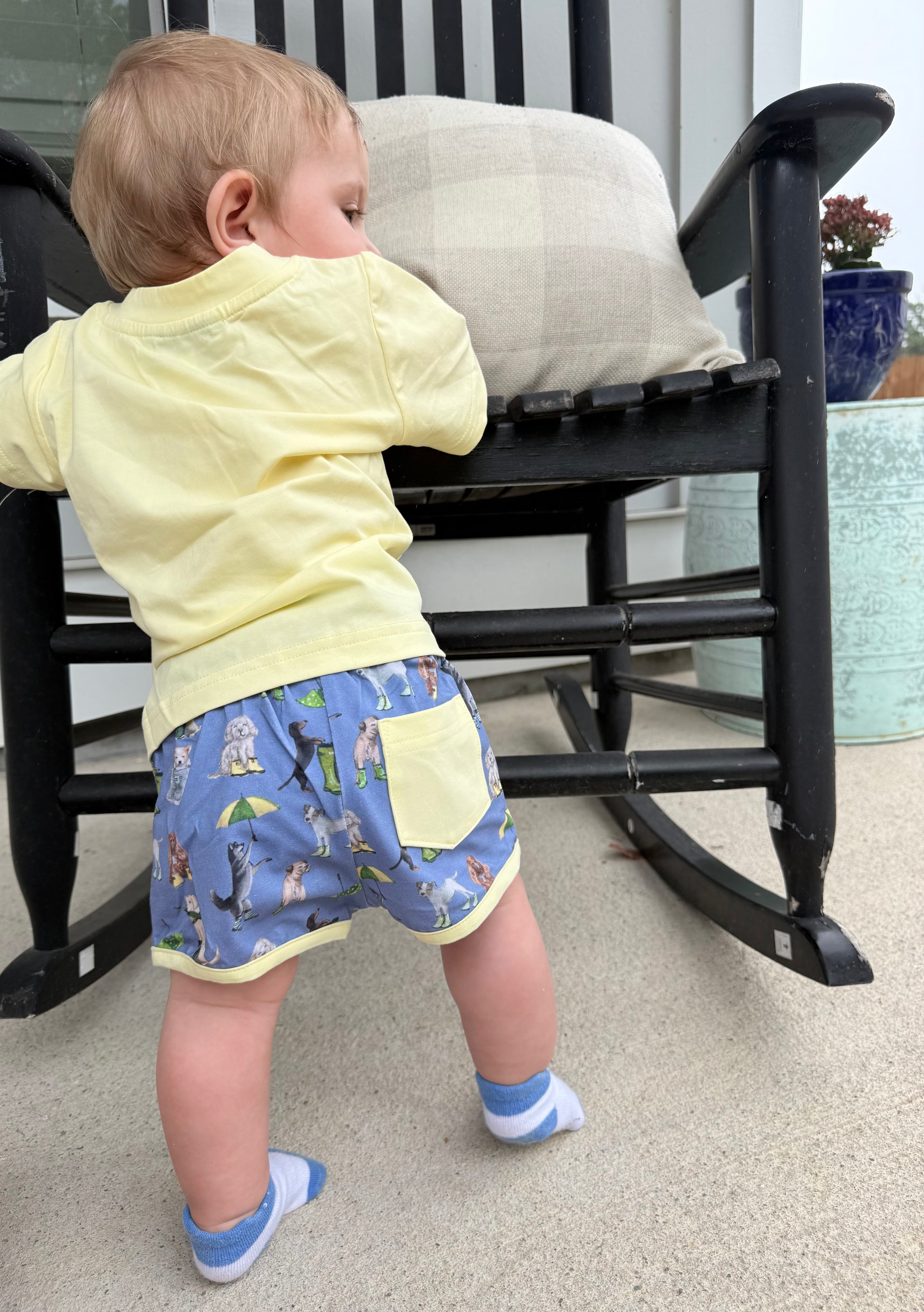 Boys Rain Dogs Shorts Set
