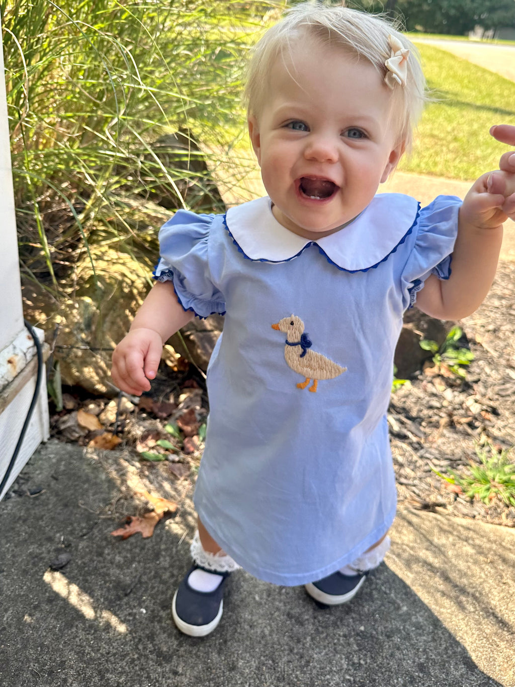 Hand Embroidered Goose Dress