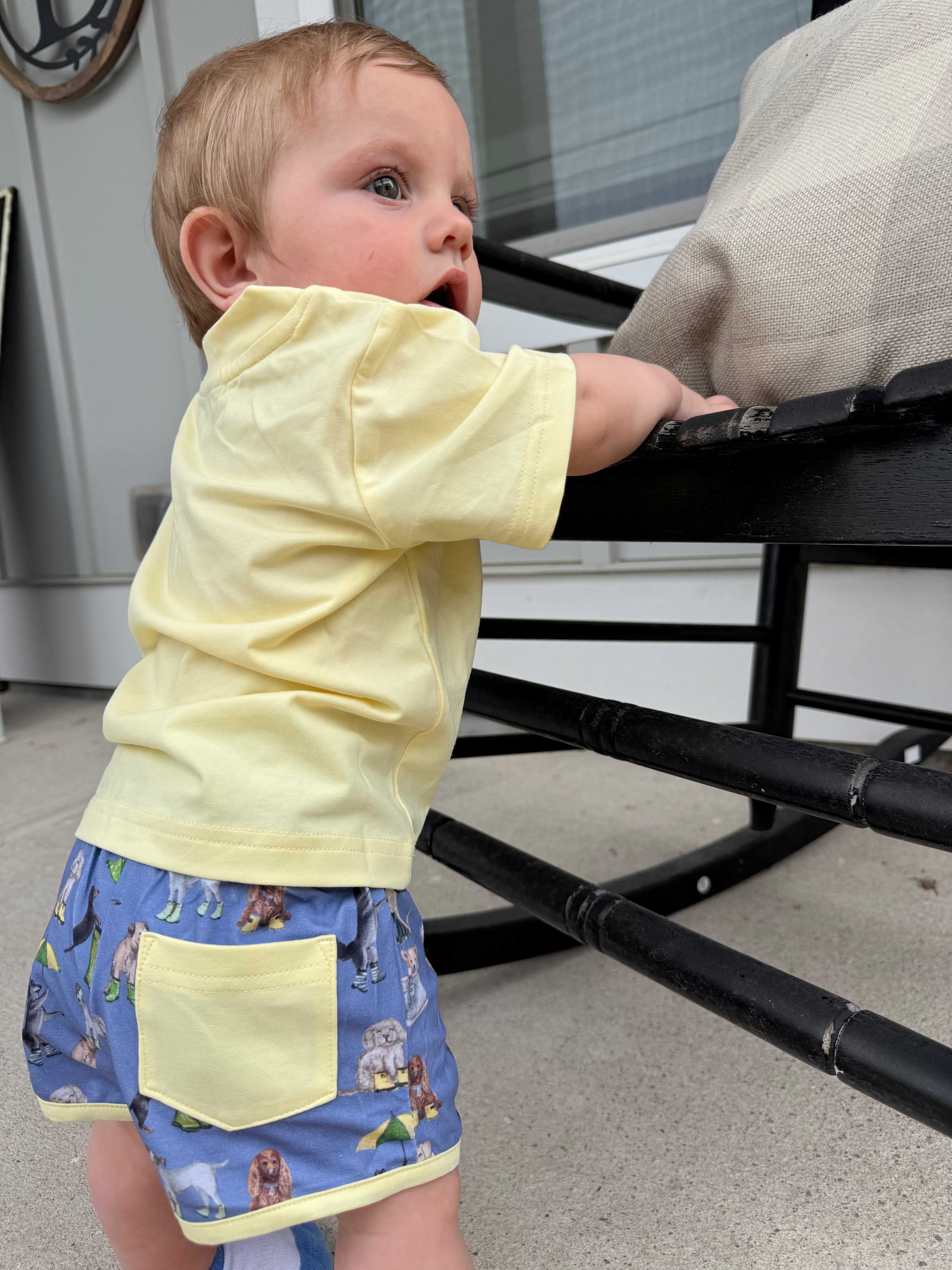 Boys Rain Dogs Shorts Set
