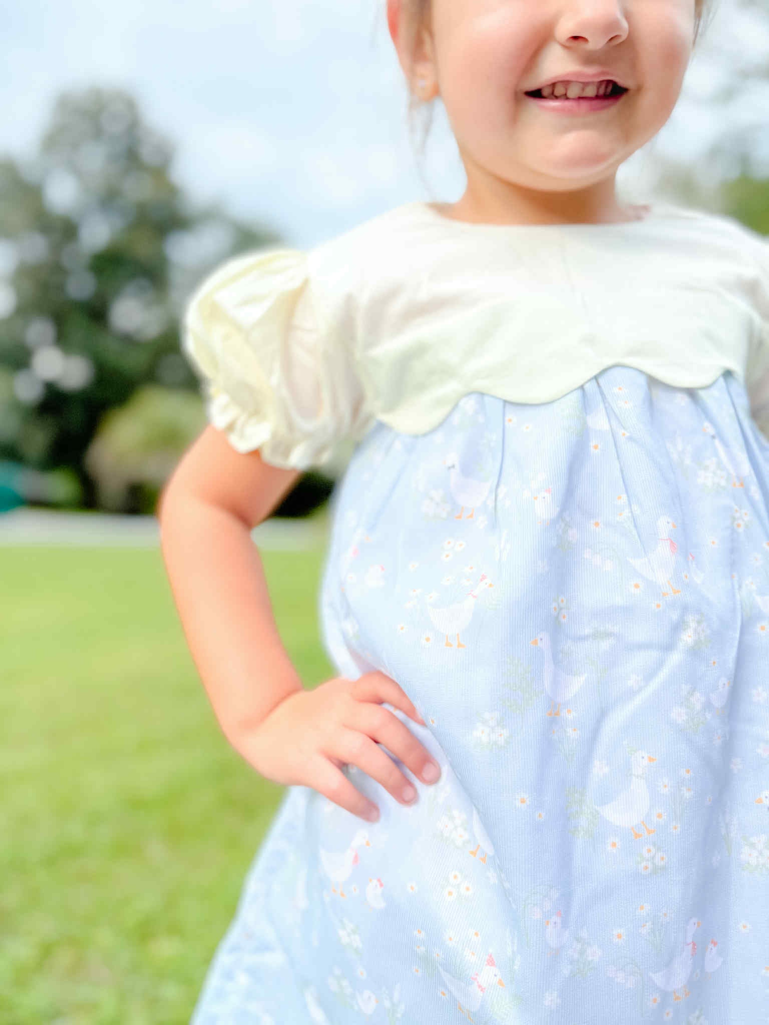 Pastel Goose Dress